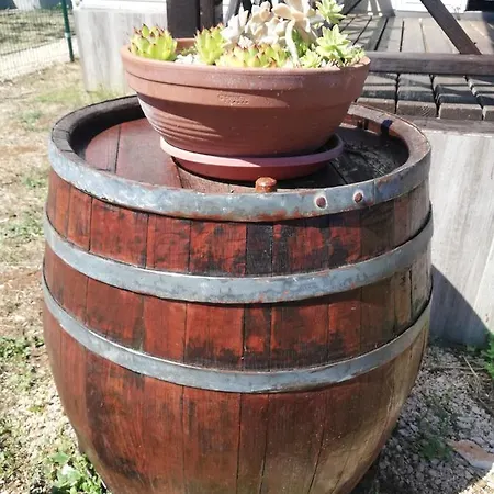 Petra's Garden 3* Kraj